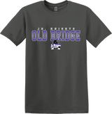 Old Bridge Jr. Knights Softstyle T-Shirt